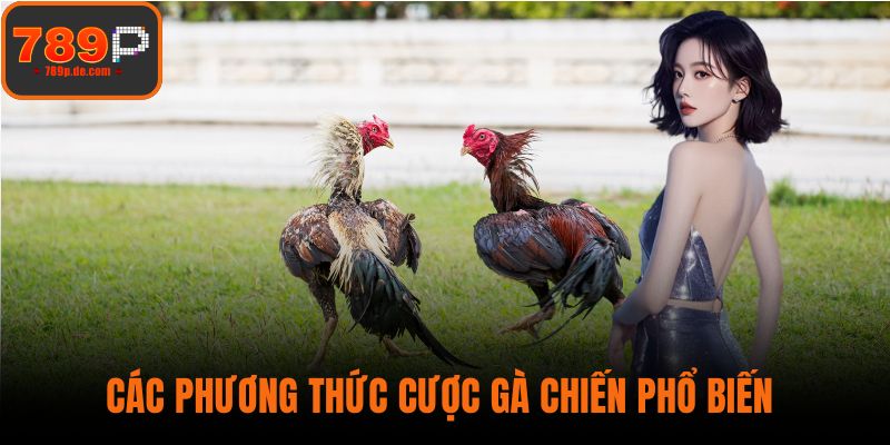 Các phương thức cược gà chiến phổ biến